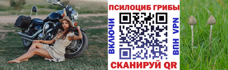 Галлюциногенные грибы Psilocybe  Орлов 